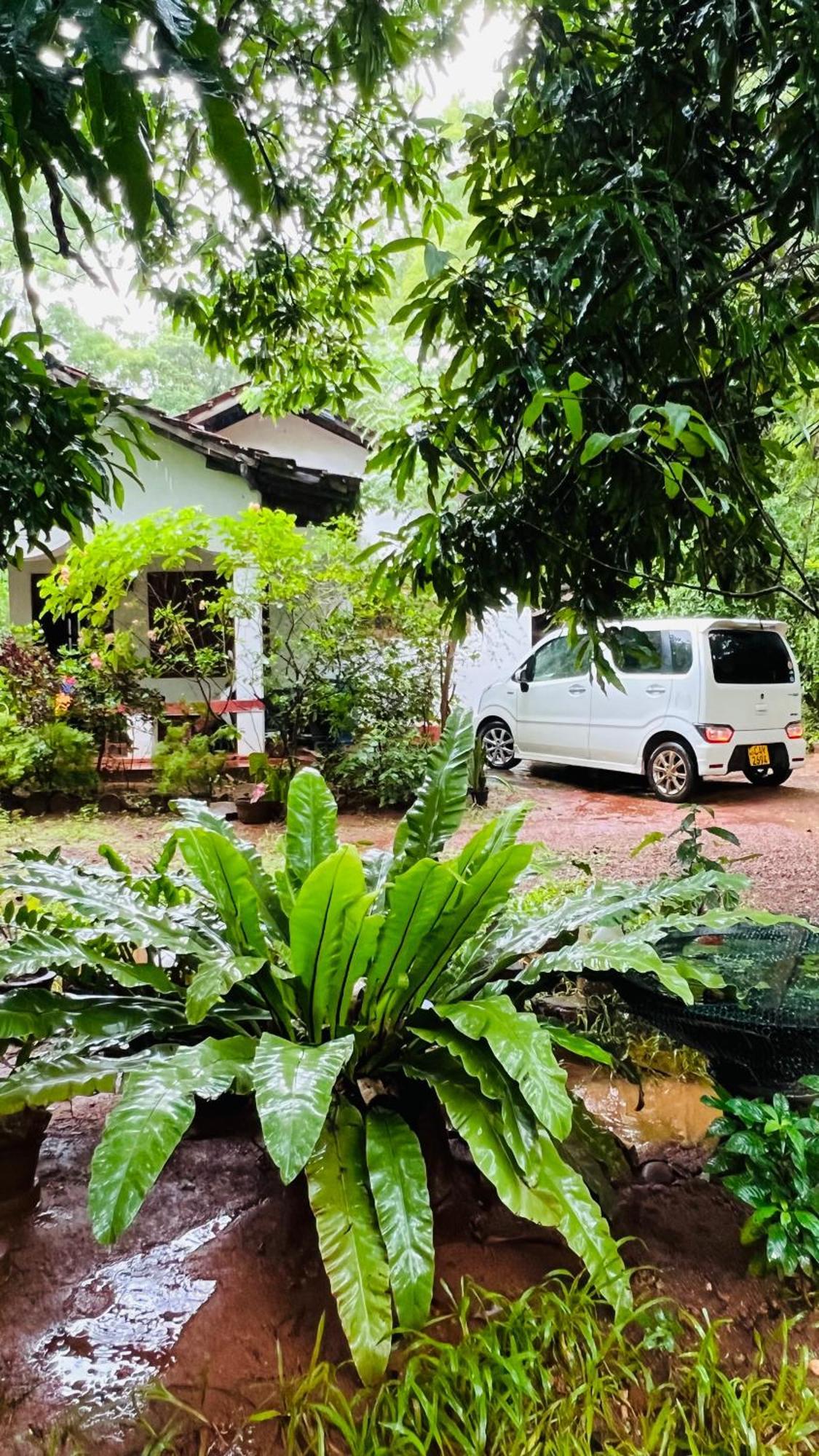 منزل للإقامة Kataragama Homestay *