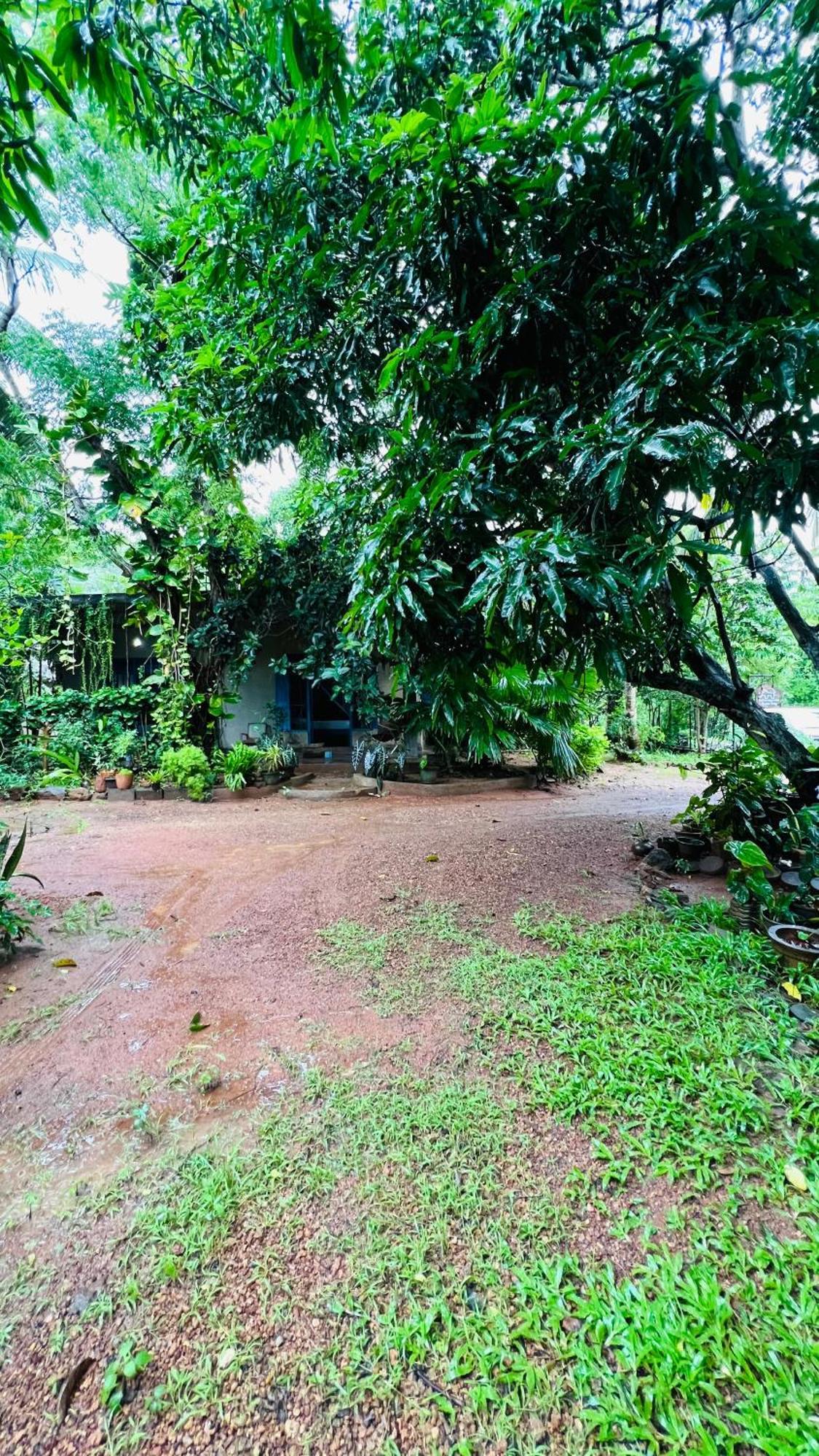 منزل للإقامة Kataragama Homestay *
