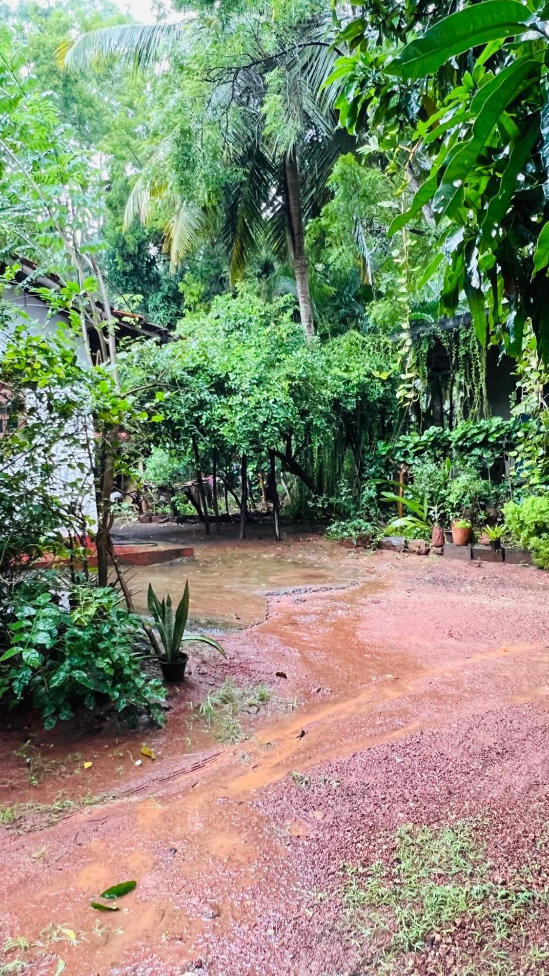Kataragama Homestay