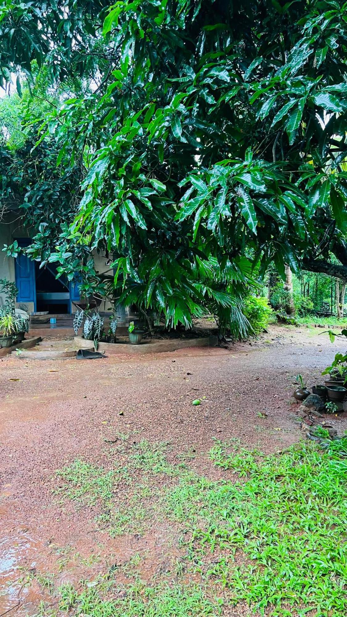 منزل للإقامة Kataragama Homestay
