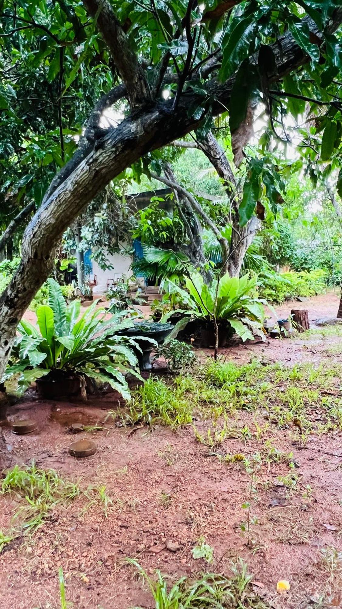 Kataragama Homestay كاتاراغاما