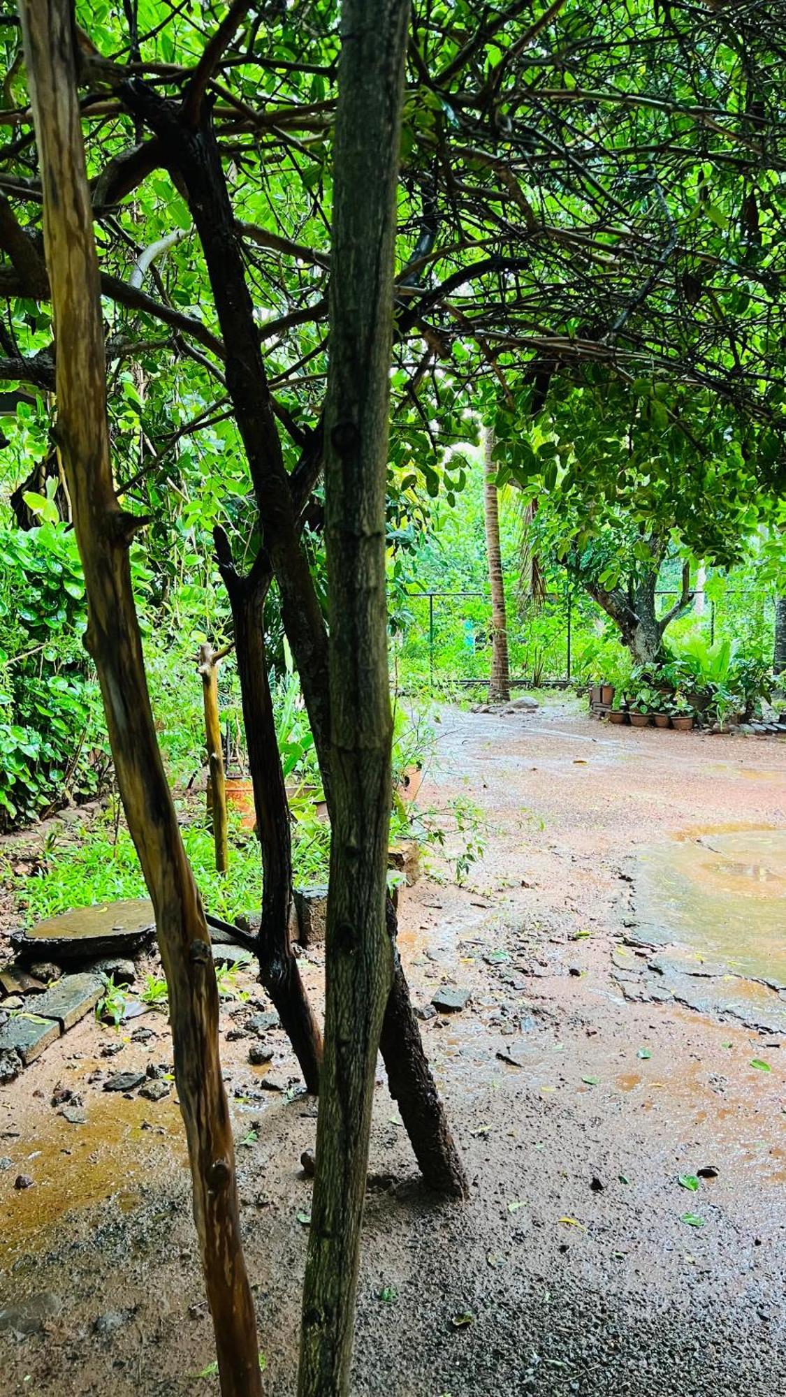 منزل للإقامة Kataragama Homestay